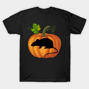 Mouse in pumpkin T-Shirt